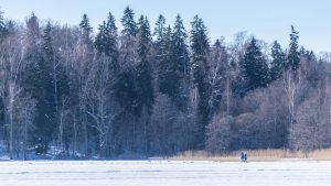 Rondreis-Estland-Tartu
