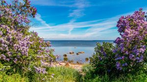 Rondreis-Estland
