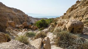 Dode Zee en omgeving Israel