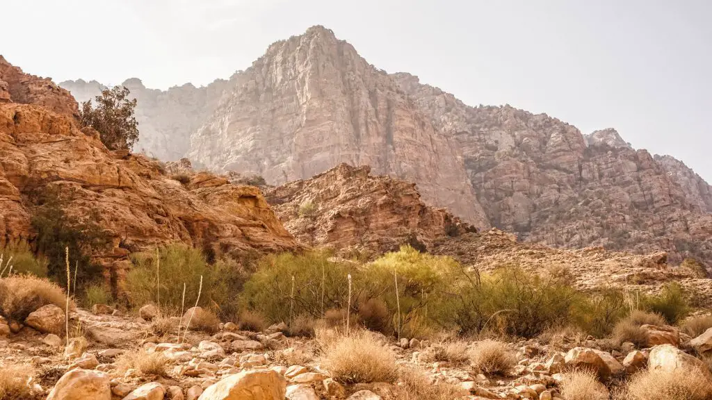 Dana-Feynan-Jordanië