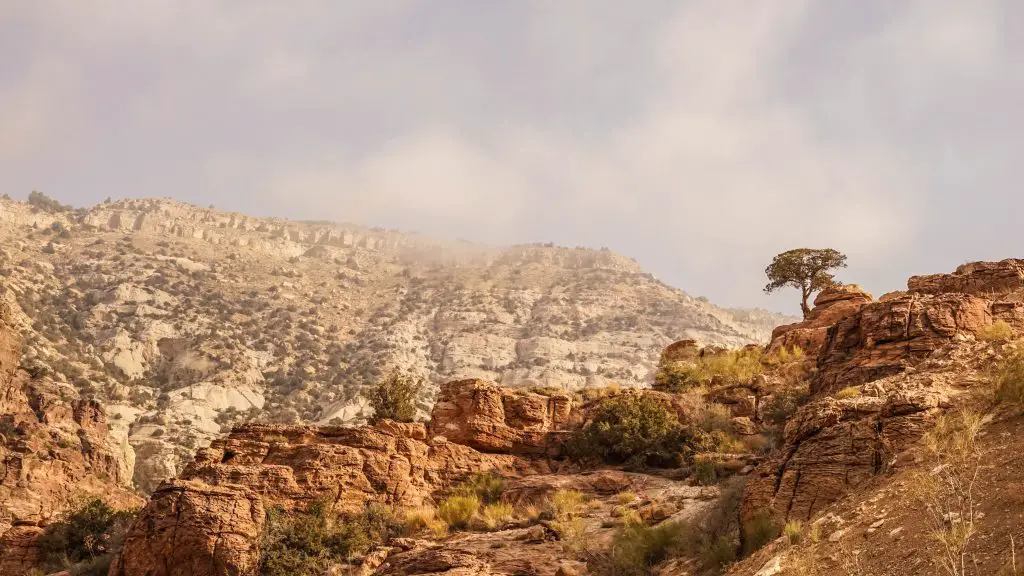 Dana-Feynan-Jordanië