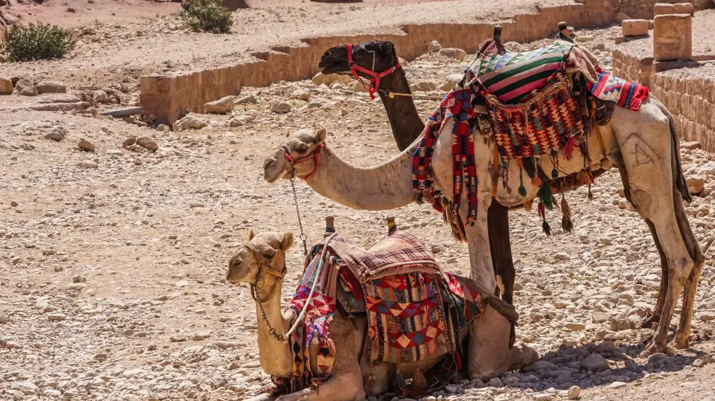 Petra-Jordanie