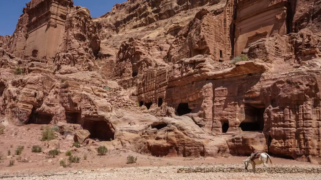 Petra-Jordanie