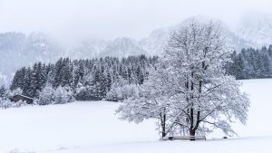 Wintersport-camera