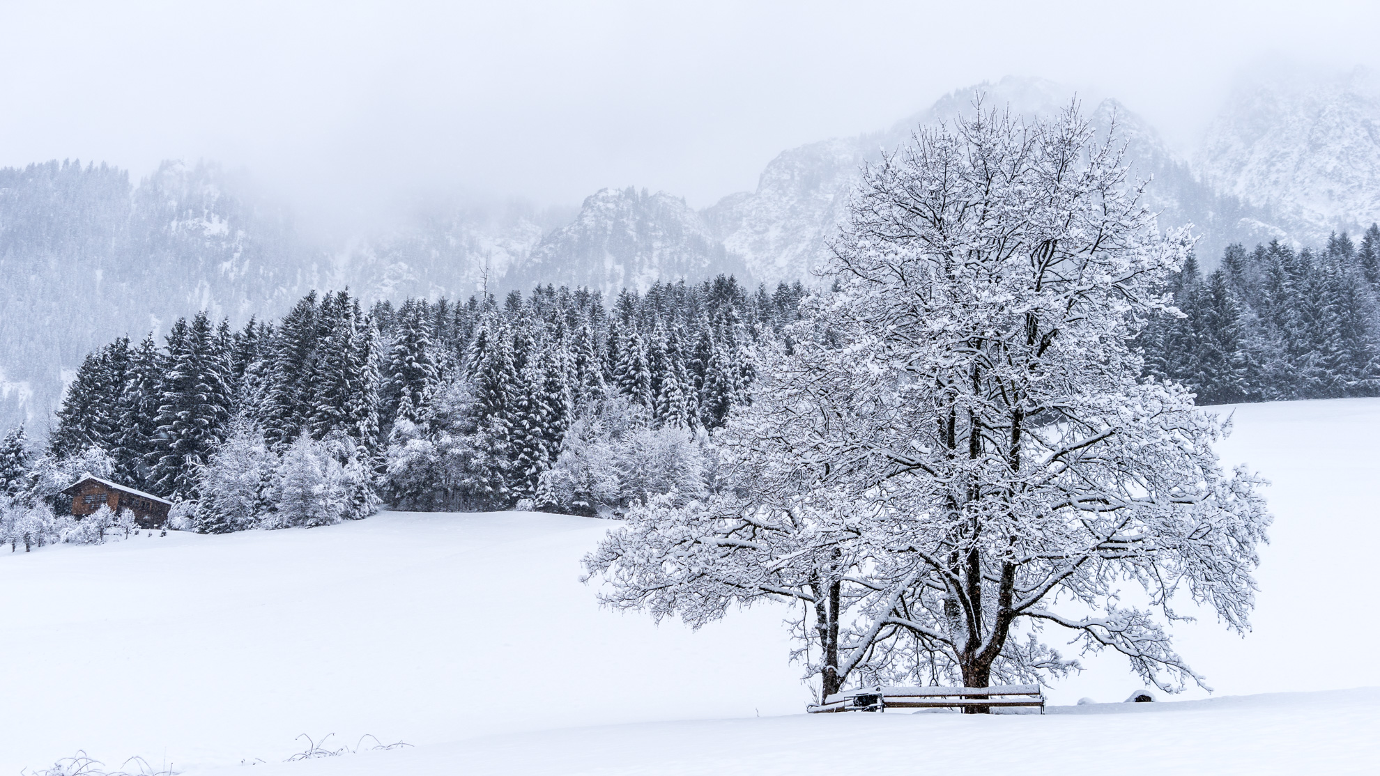 Wintersport-camera