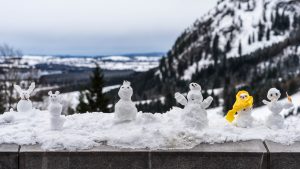 Wintersport-sneeuwpop-maken