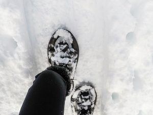 Wintersport-sneeuwschoenwandelen