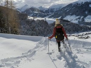 Wintersport-sneeuwschoenwandelen