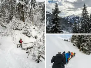 Wintersport-sneeuwschoenwandelen