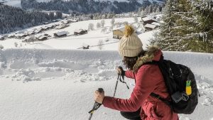 Wintersport-sneeuwschoenwandelen