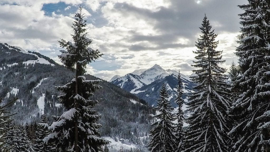 Alpbachtal-Oostenrijk
