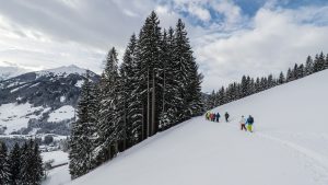 Alpbachtal-Oostenrijk