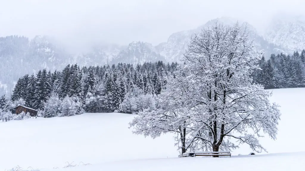 Alpbachtal-Oostenrijk