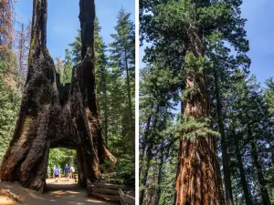 Yosemite-National-Park-Amerika