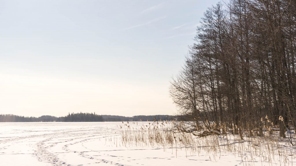 Estland-winter