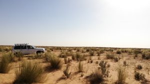 Sahara-Tunesie