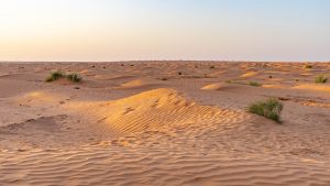 Sahara-Tunesie