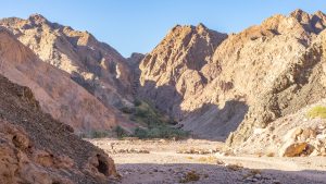 Dahab-quad
