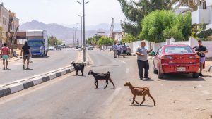 Dahab-streets
