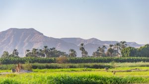 Luxor-Egypte