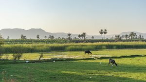 Luxor-Egypte