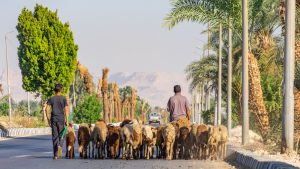 Luxor-Egypte