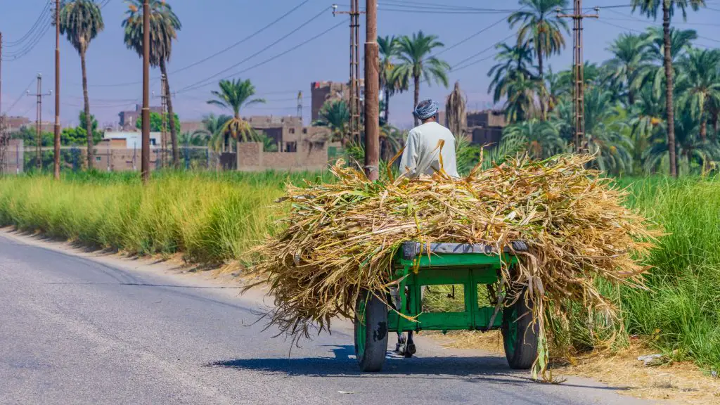 Luxor-Egypte