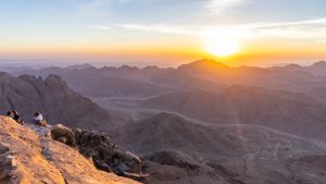 Mount-Sinai