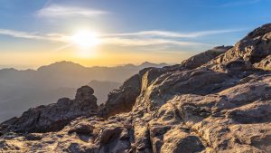 Mount-Sinai