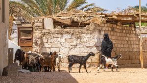 Voorbereiding-Egypte
