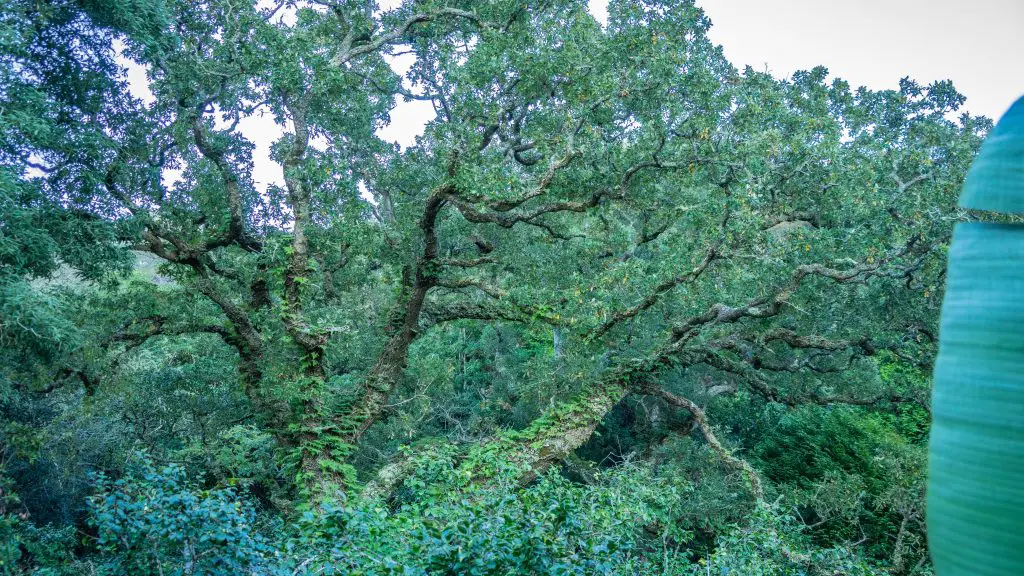 Sintra-Portugal