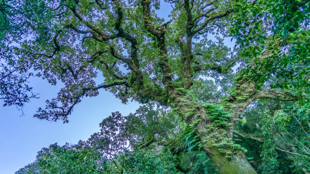 Sintra-Portugal