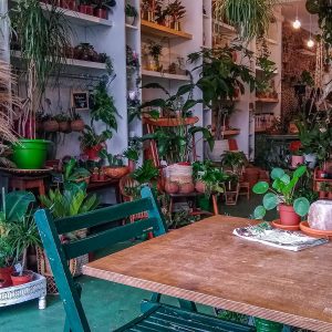 Planten-lunchen-veganistisch-Oerwoud
