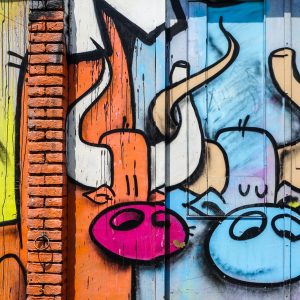 tips-Den-Bosch