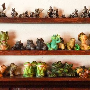 tips-Den-Bosch