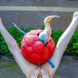 tips-Den-Bosch