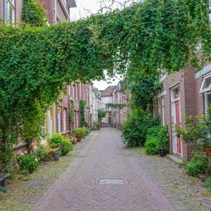 tips-Den-Bosch