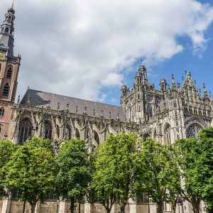 tips-Den-Bosch