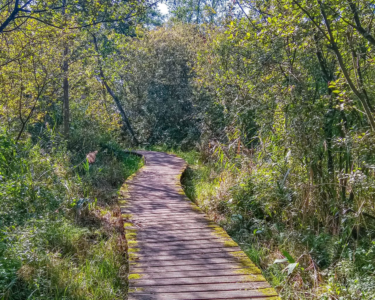 Moerputten-Den-Bosch-wandelpad