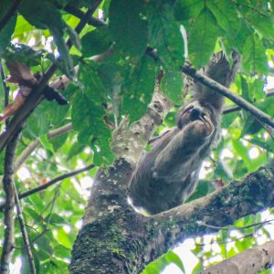 Costa-Rica-Manuel-Antonio