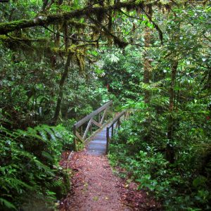 Costa-Rica-Monteverde