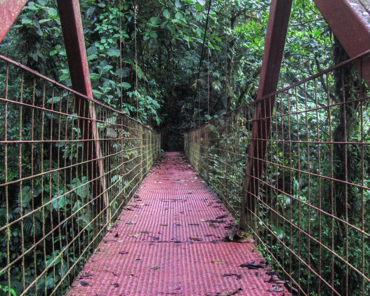 Costa-Rica-Monteverde