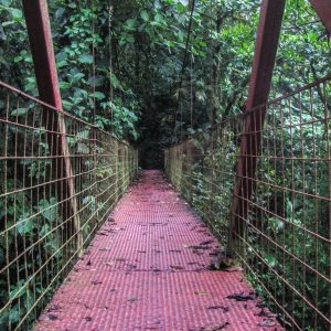 Costa-Rica-Monteverde