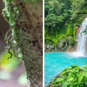Costa-Rica-Rio-Celeste