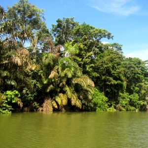 Costa-Rica-Tortuguero