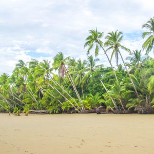 Costa-Rica-Uvita