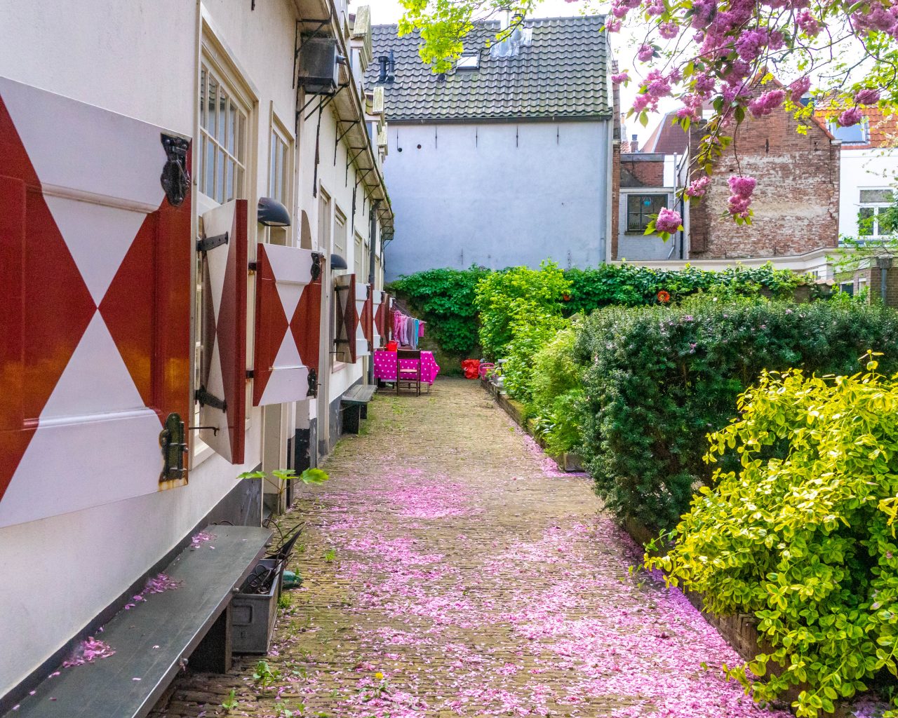 Haarlem-Nederland