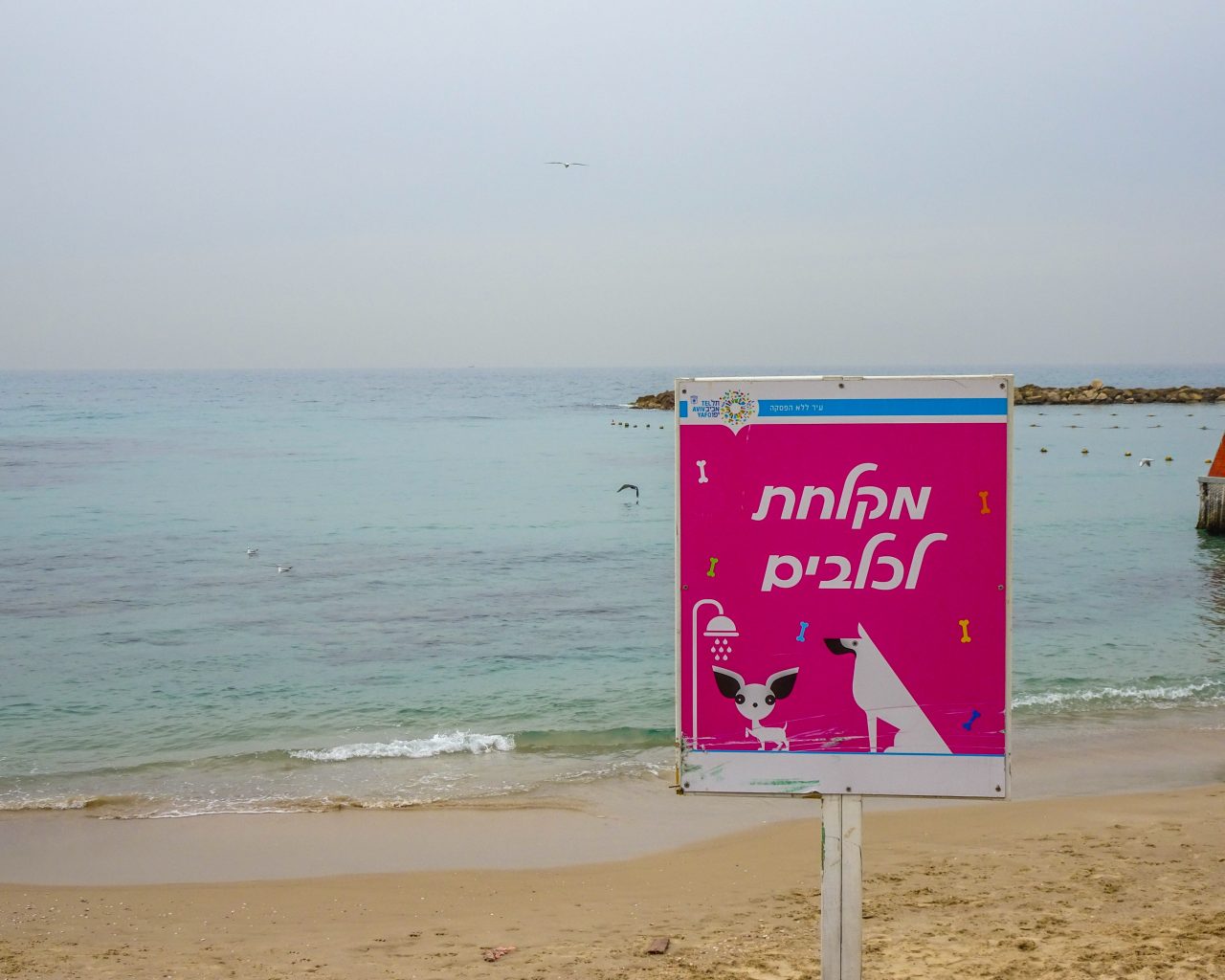 Tel-Aviv-stedentrip