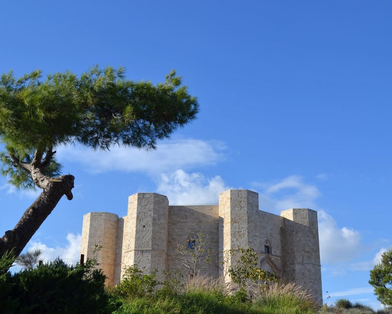 Castel-del-Monte-Puglia-Italië