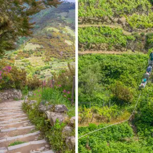 Cinque-Terre-tips